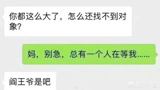 你看到过哪些神评论?