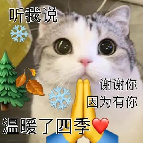 听我说谢谢你什么梗 听我说谢谢你因为有你温暖了四季梗介绍