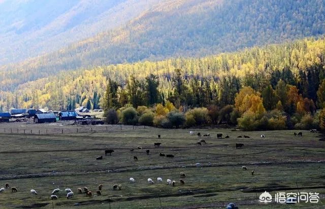 新疆喀什大巴扎值得逛嘛？