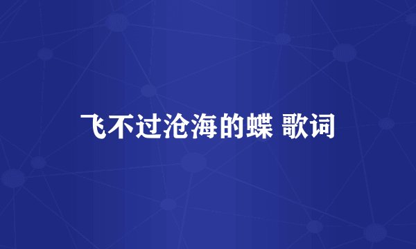 飞不过沧海的蝶 歌词