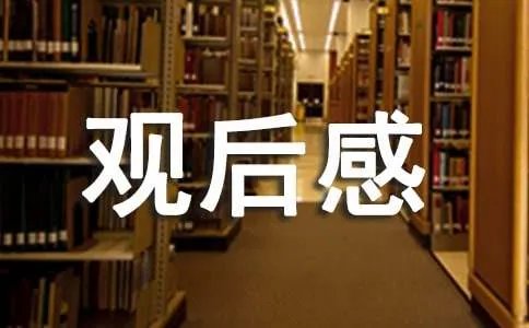 《平安中国之守护者》观后感