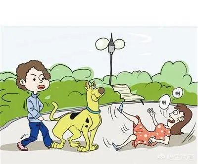 女子投诉滴滴拼车遇两大狗一路狂吠，如女子被咬伤谁应该负责？