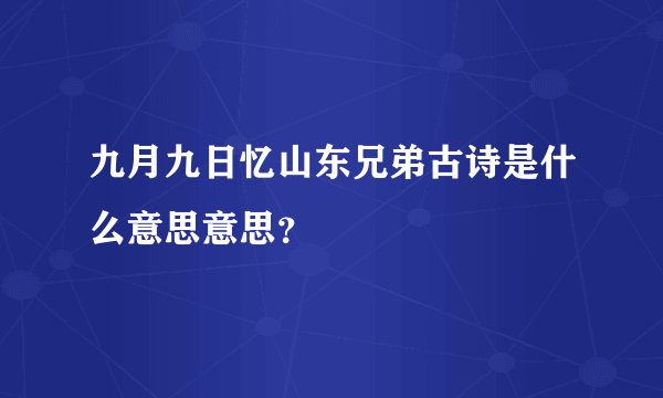 九月九日忆山东兄弟古诗是什么意思意思？