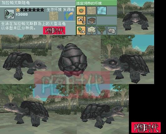 图文攻略 动物园大亨2