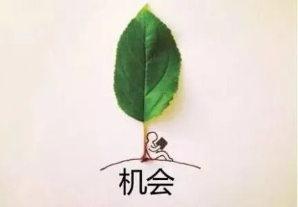 opportunities是什么意思