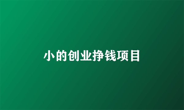 小的创业挣钱项目