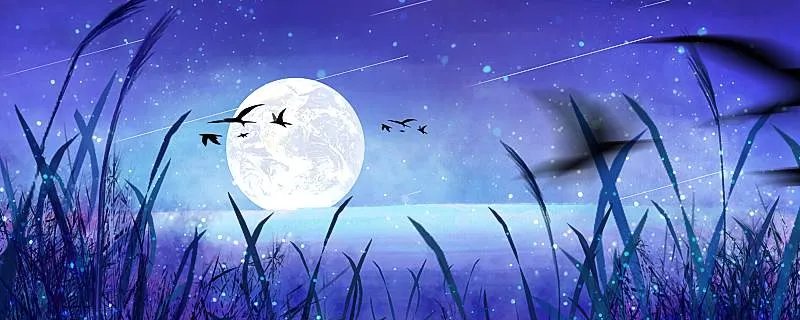 露从今夜白下一句是什么 露从今夜白什么意思