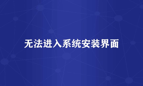 无法进入系统安装界面