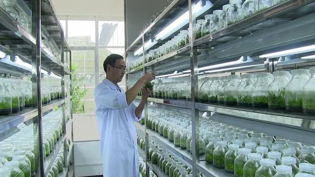 一些农产品滞销的本质是什么?