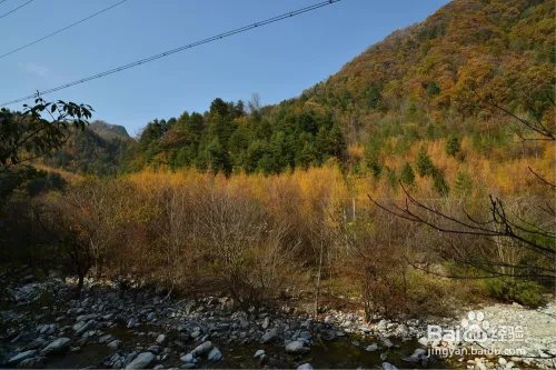 黑河森林公园旅游攻略