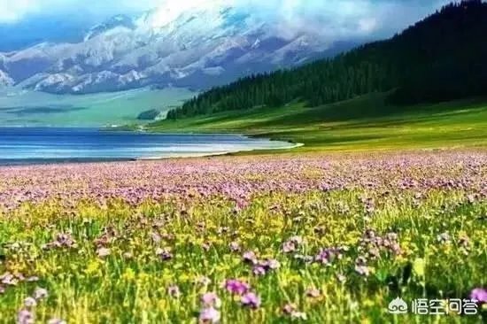 如果只能选一个，你认为新疆哪个湖最美？
