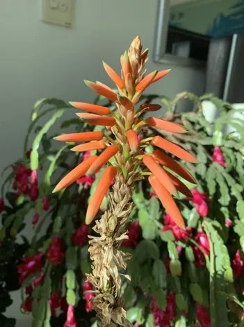 聊天晒隐私是什么心理