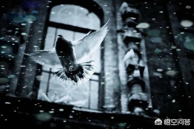 你怎么看恒大0:2落后连追5球逆转济州联的比赛？惹不起的恒大又回来了吗？