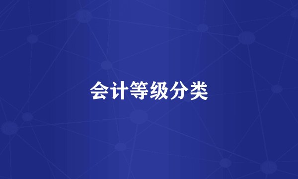 会计等级分类