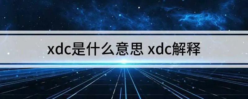 xdc是什么意思 xdc解释