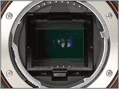 相机百科｜索尼单电和单反、无反有何不同？