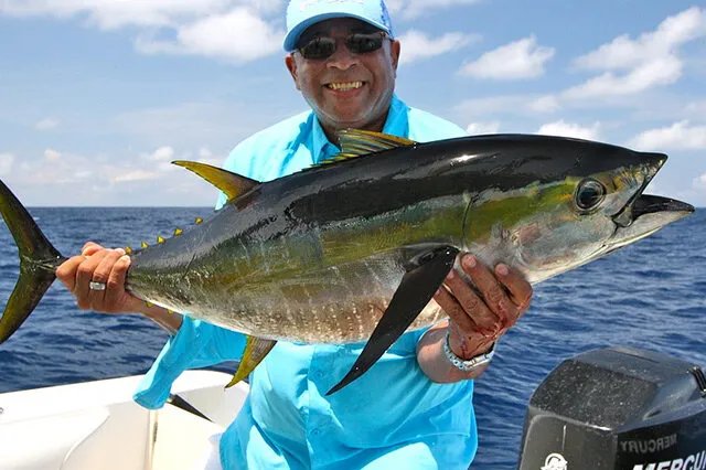 金枪鱼价格现在多少钱一斤 世界上最贵的金枪鱼多少钱