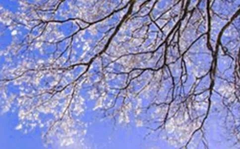 初中冬天的作文600字