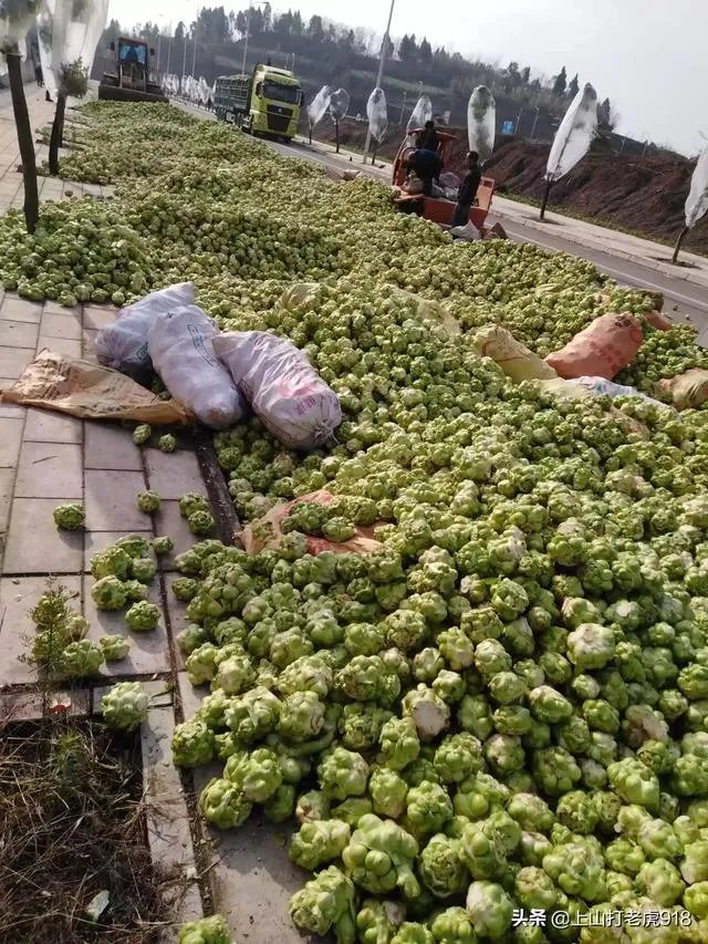 涪陵榨菜什么牌子的好？