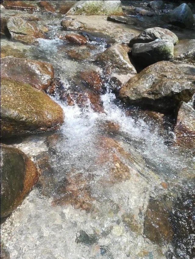 黄龙600咋样啊？