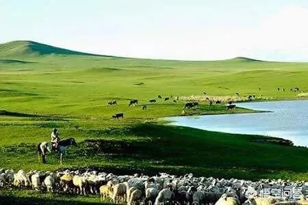 内蒙发展什么行业