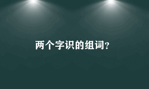 两个字识的组词？