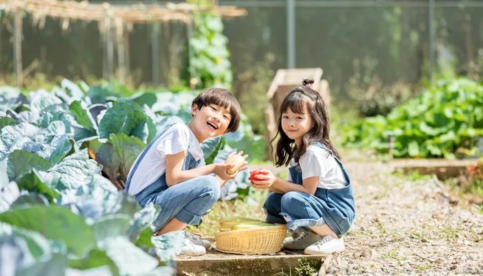 人际交往技巧 人际交往技巧有哪些