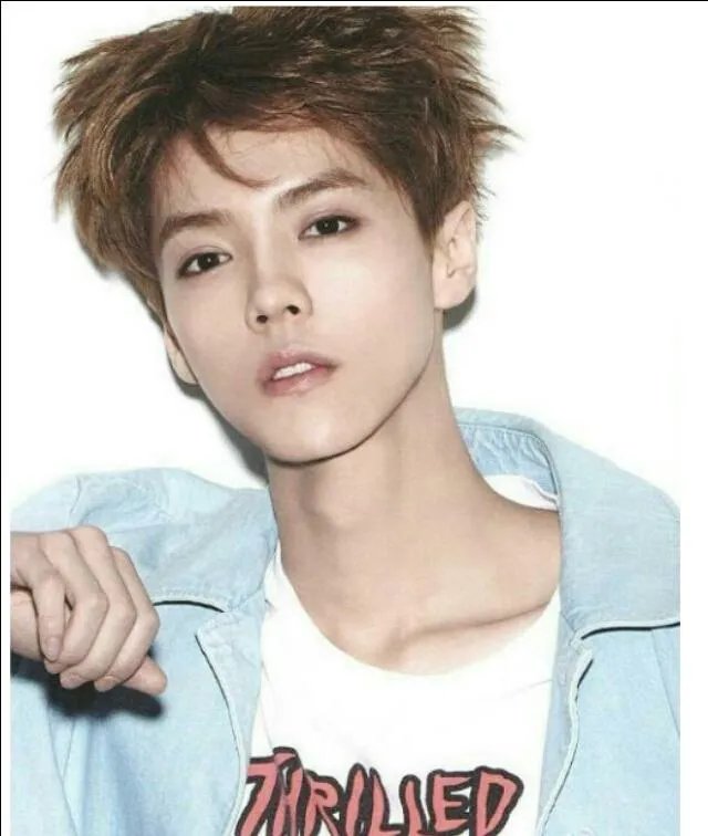 为什么鹿晗不太理张慧雯？