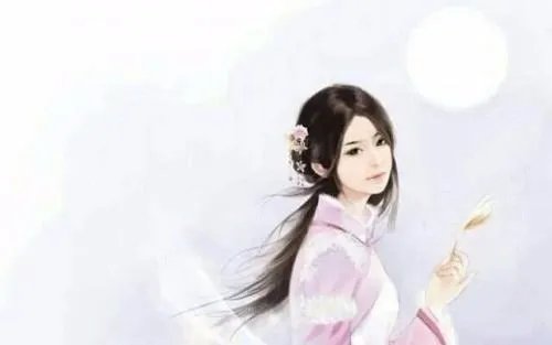 女主白洛的小说