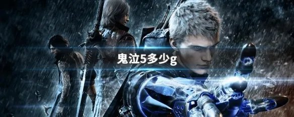 鬼泣5多少g