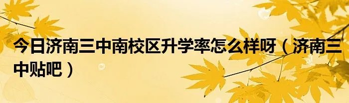 今日济南三中南校区升学率怎么样呀（济南三中贴吧）