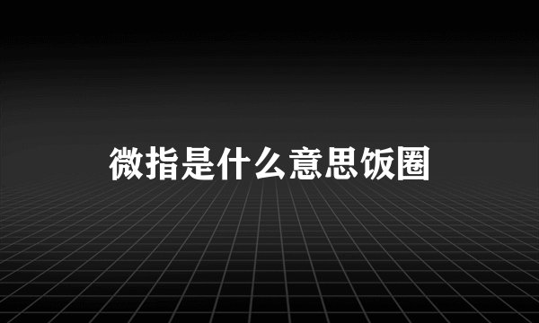 微指是什么意思饭圈