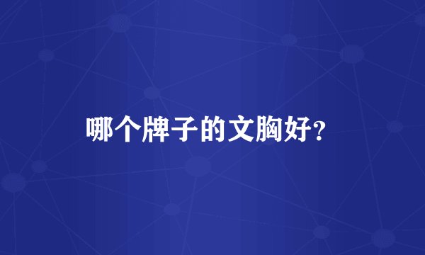 哪个牌子的文胸好？