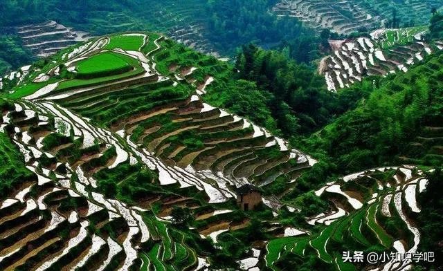 五一去崇义旅游,去玩过的驴友可以说下攻略吗?