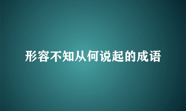 形容不知从何说起的成语