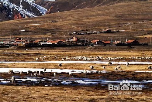 若尔盖旅游攻略