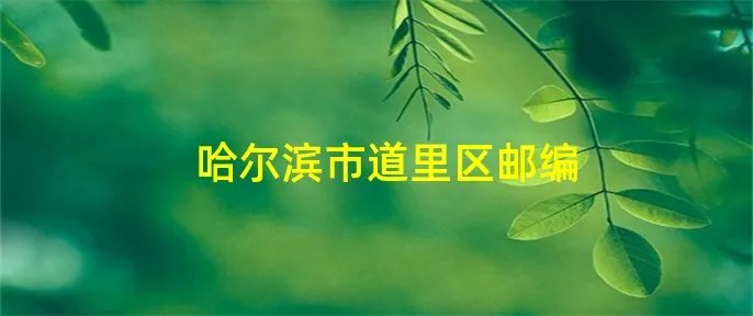 哈尔滨市道里区邮编