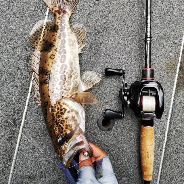 谁可以分享一下路亚钓鱼技巧？