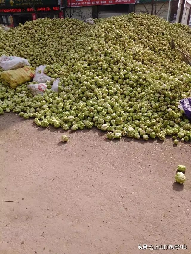 涪陵榨菜什么牌子的好？