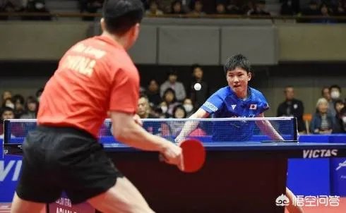 亚洲杯马龙3:1轻取张本智和，彻底打散了张本的傲气，你怎么看？