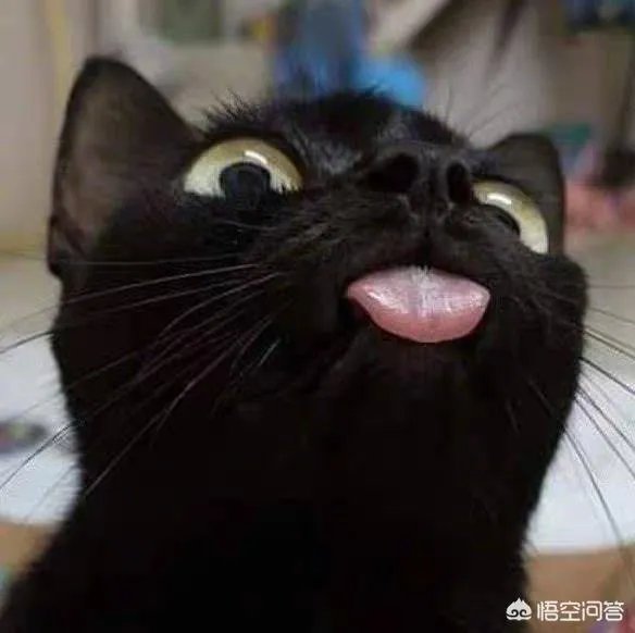 《知否》中张大娘子死了吗?张大娘子结局如何?