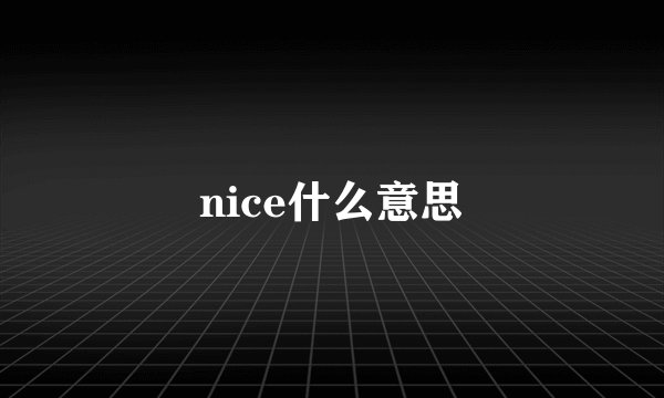 nice什么意思