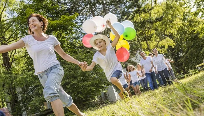 pause是什么意思