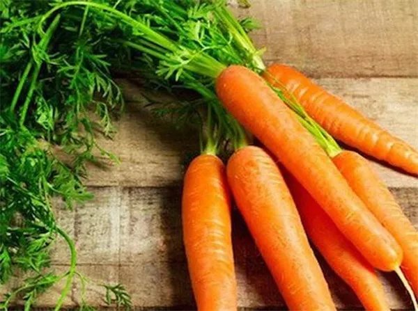 胡萝卜的功效与作用