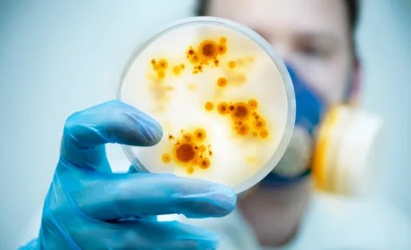 空气中到底有没有微生物呢?它们在哪里?