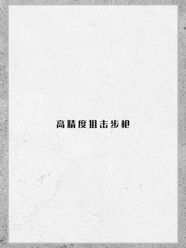 高精度狙击步枪