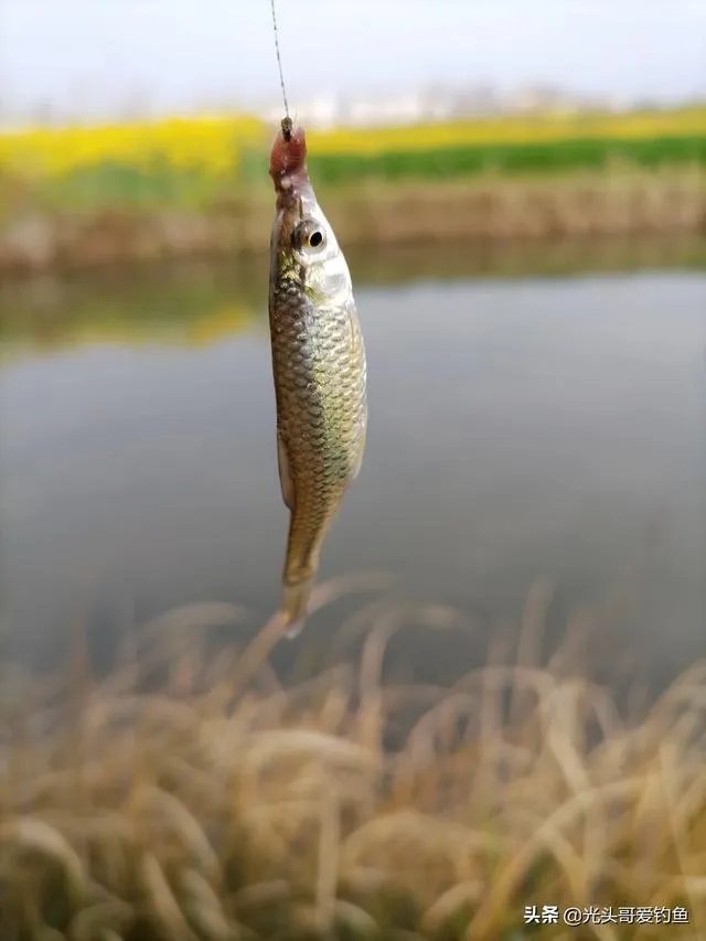 户外钓鱼直播怎么做？