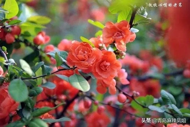 2月底之前，中小学生能不能到校学习？