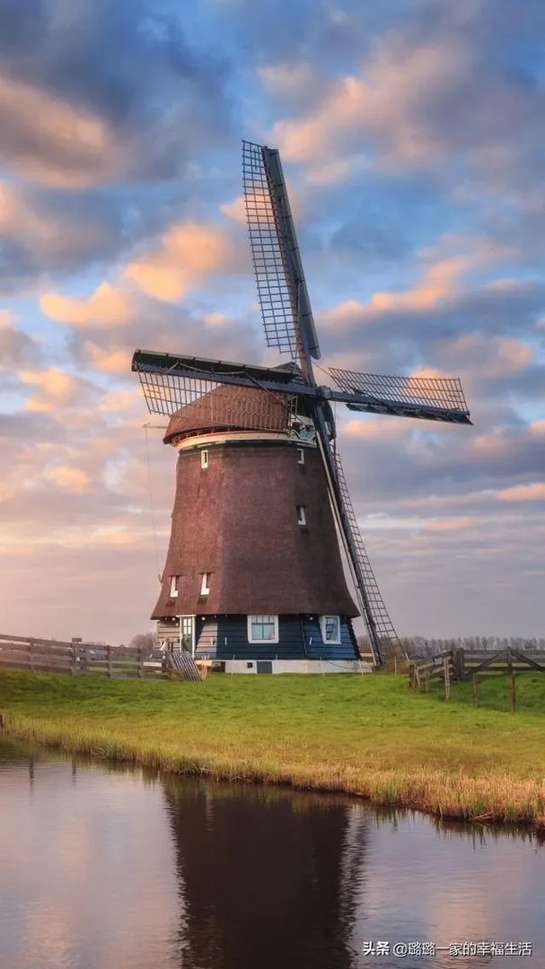 宁愿死也不愿在做穷人家孩子