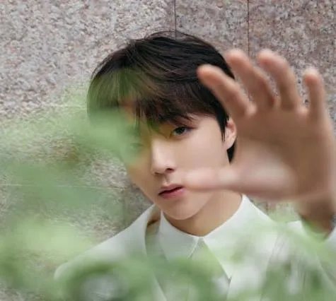 陈立农受伤坐轮椅现身机场,陈立农体重多少及资料